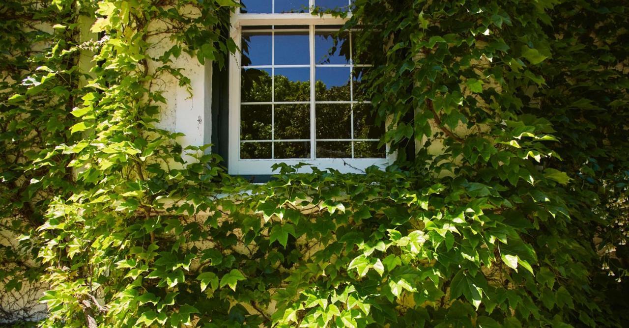 Villa Puccini Fokváros Kültér fotó